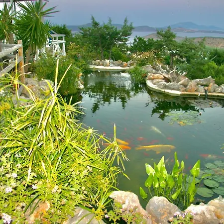 Zografos Irakleia (Naxos)