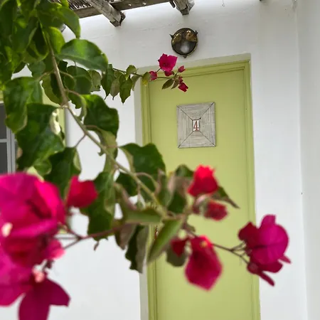 Gasthuis Zografos 4*