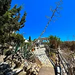 Zografos