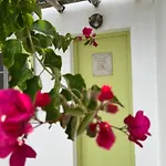 Πανσιόν Zografos 4*